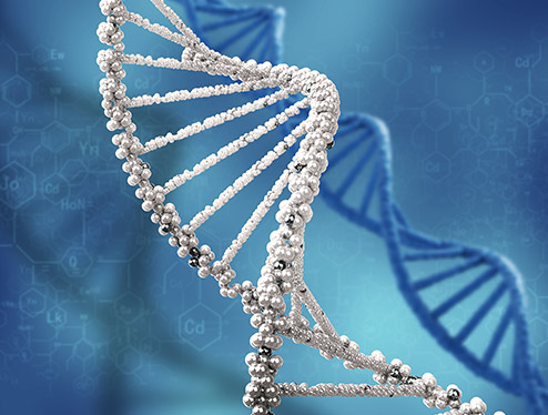 problemy-genetyczne-dna-wady-stop